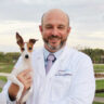 Dr. David Sherberg