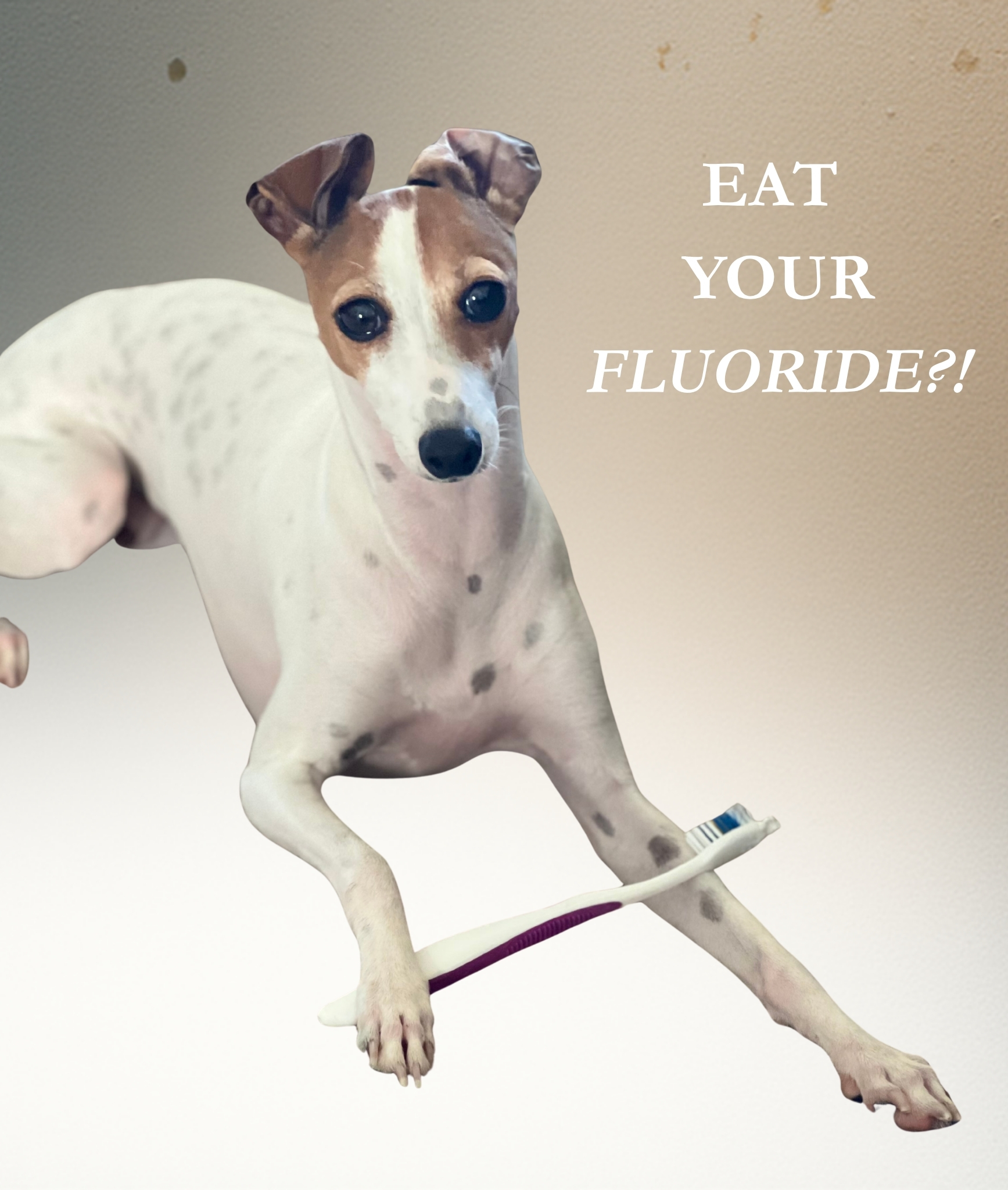 Dr. Sherberg with a happy dental implant patient EAT YOUR FLUORIDE MARE